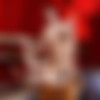 [Str8ToGay.com / Men.com] Cheating Husband Part 4 (Connor Halstead, Johnny Rapid) [2016 ., Muscle, Young Men, Anal/Oral Sex, Big Dick, BlowJob, Cumshots, Masturbation, 1080p] thumb