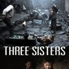 Three Sisters [2012] / H264 / MKV / WEB / 1080p / AC3 / Mandarin / Cinefeel thumb