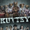 Kuttey [2023] / H264 / MKV / WEB / 720p / AC3 / Hindi / Subs thumb