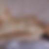 [UltraFilms.com] Amelia Riven & Ivi Rein - Beautiful Pussies [2024, Girl/Girl, Lesbian, Blonde, Brunette, Natural Tits, Small Tits, Masturbation, Pussy Licking, Kissing, 1080p] thumb