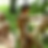[CockSureMen.com] Diego Canales Barebacks Dick Kiessie (Romi Zuska/Aldo Belucci/Nick Vargas - Dick Casey/Steve Russell/Tomas Melus) [2015 ., Anal Sex, Bareback, Blowjob, Cumshots, Kissing, Masturbation, Muscles, Outdoors, Tattoos, Uncut., 720p] thumb