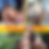 How Our Summer Flew Bi /      ( Let's Go Bi ) [20.10.2024. Bisexual, MMF, Oral/Anal Sex, Vaginal Sex, Threesome, Hardcore, Cumshots,..720p,SiteRip] thumbnail