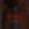 (  ) [2011 ., CamRip] thumb