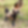[TheLifeErotic.com] 2015-10-11 Mira V (Forest Dreams 2) [2015 ., Solo, Masturbation, 1080p] thumb