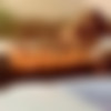 [2012 ., Amateur, Oral, Teen, CamRip] thumb