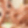[BelAmiOnline.com] (11116) Condom Free: Adam Archuleta, Rocco Alfieri, Joel Birkin, Scott Reeves, Yuri Alpatow, Hoyt Kogan, Pt.1,2 (2 clips) [2017 ., Anal, Bareback, Big Dicks, Blowjob, Cumshots, Facial, ..., Orgy, Rimming, Uncut., 810p] thumb
