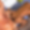 [SeanCody.com] SC-2494 Daniel & Jae: Bareback [2018 ., Anal Sex, Bareback, Big Dick, Blowjob, Cumshots, Interracial, Hairy, Kissing, Masturbation, Muscles, Rimming., 720p] thumb