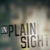 Killer In Plain Sight S02E04 Secrets Can Kill 1080p HDTV H264-DARKFLiX thumb