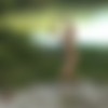 2 ( , ) [2008 ., Vignettes, Straight, DVD5] thumb