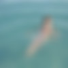 [2014 ., All Sex, CamRip] thumb