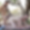 [FuckerMate.com] Frank Valencia and Elio Guzman [steamy encounter] [2015 ., Anal Sex, Blowjob, Bondage, Cumshots, Domination, Masturbation, Muscles, Outdoors, Pissing, Rimming, Spitting, Tattoos, Uncut., 720p] thumb