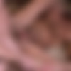 [Str8ToGay.com / Men.com] Family Secrets Part 2 (Colby Jansen, Mike Tanner) [2016 ., Muscle, Anal/Oral Sex, Big Dick, BlowJob, Tattoos, Hairy, Rimming, Cumshots, Masturbation, 720p] thumb