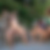 Why Not Bi /     ( Let's Go Bi ) [16.12.2023. Bisexual, MMF, Oral/Anal Sex, Vaginal Sex, Threesome, Hardcore, Cumshots, Compilation,..720p,SiteRip] thumbnail