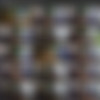 [DallasReeves.com] Donny Forza Checkmate Jacob Durham for Bareback (Donny Forza, Jacob Durham) [2014 ., Twinks, Bareback, Anal/Oral Sex, Rimming, Cream Pie, Cumshot, Masturbation, 720p] thumb