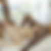 [Blacked.com] Carter Cruise, Riley Reid (Carter Cruise Obsession Chapter 4 / 29 Aug 2015) [2015 ., Threesome, Deep Throat, Blowjob, Cum Swap, Big Dick, IR, Hairy Pussy, Hardcore, All Sex, 720p] thumb