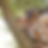 [OutDoors.Staxus.com/Staxus.com] Orlando White Gives His Hot & Horny Fuck-Buddy A Raw, Open-Air Fuck! (Orlando White, Rick Nielson (David Smetak/Enzo Bloom)) [2013 ., Anal/Oral, Bareback, Big Dick, Cumshots, Facial, ... , Twink, Uncut., 720p] thumb