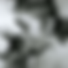 [2003 ., ] thumb