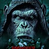 Monkey Killer 2025 1080p WEBRip DDP 2 0 10bit H 265-iVy thumb