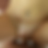 [MrPov.com] Iris Rose [2015 ., POV, All Sex, Oral, 1080p] thumbnail