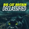 Big Cat Britain Declassified 2023 1080p WEB h264-BAWD thumb