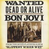 Wanted Dead or Alive 1987 1080p WEBRip DDP 2 0 10bit H 265-iVy thumb