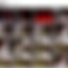 Video Codec   .    [2000 ., amateur, blowjob, erotica, sex, CamRip] thumb