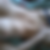 [2014 ., Amateur,All Sex,Oral Sex, CamRip] thumb